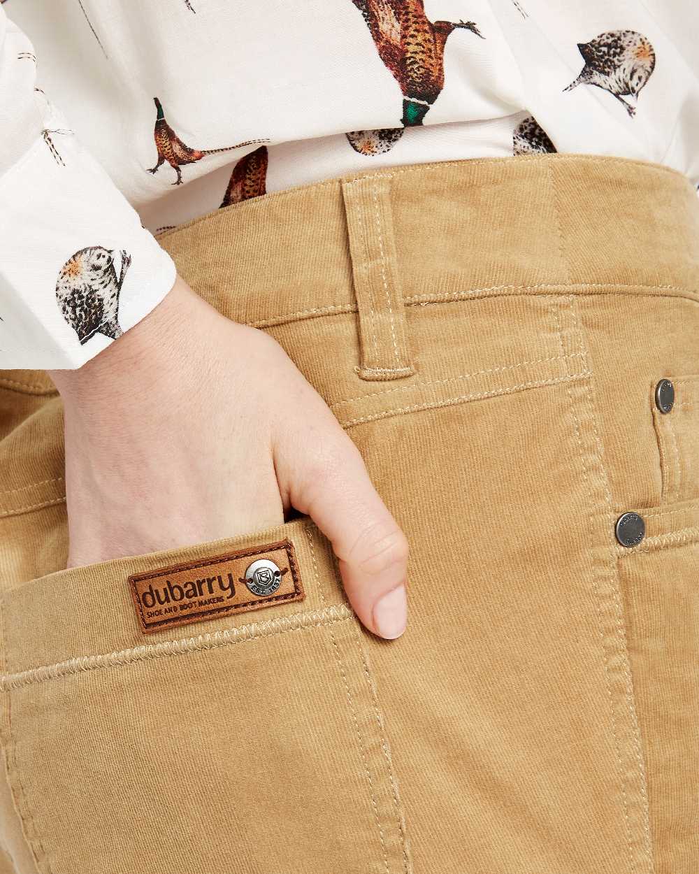 Camel Coloured Dubarry Womens Honeysuckle Jeans on white background 