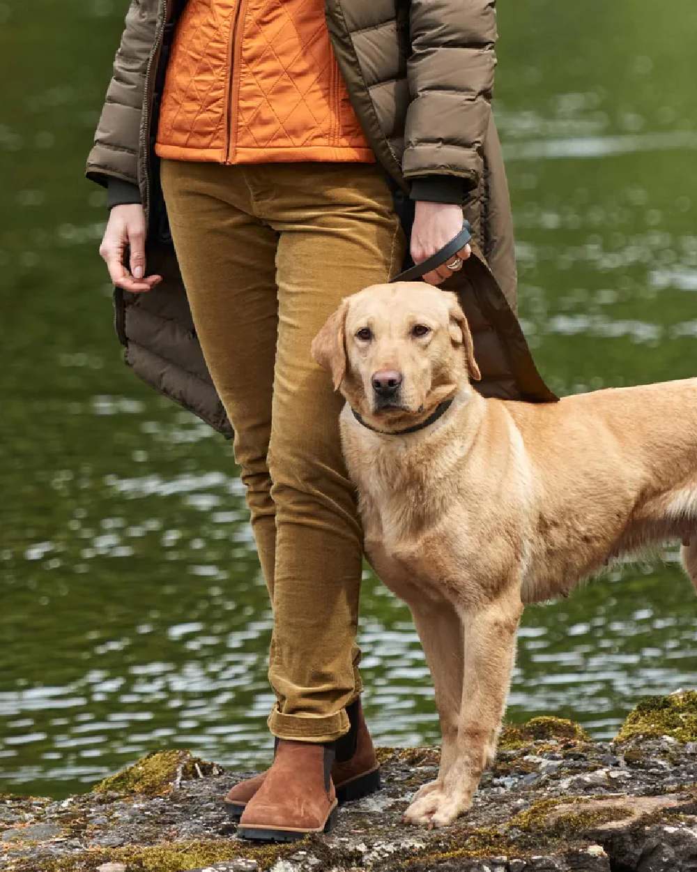 Harvest Gold Coloured Dubarry Womens Honeysuckle Jeans on outdoor background 
