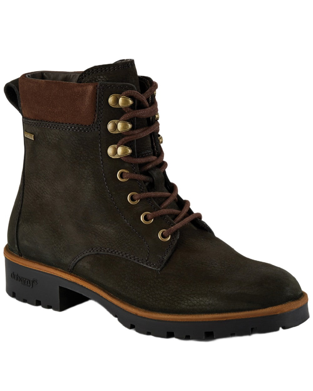 Black Coloured Dubarry Womens Strokestown Boots on white background 