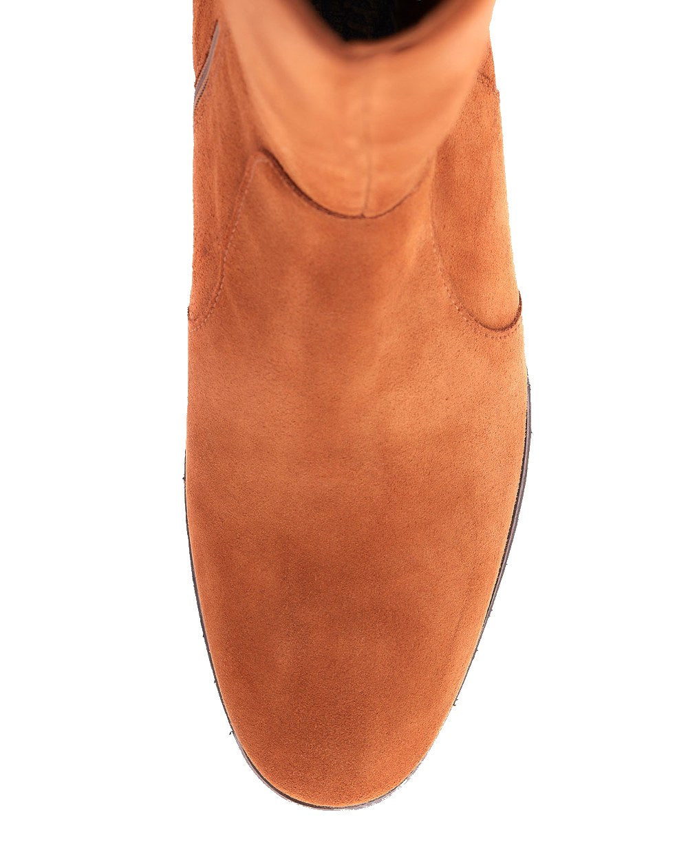 Dubarry Downpatrick Knee High Boots in Camel 