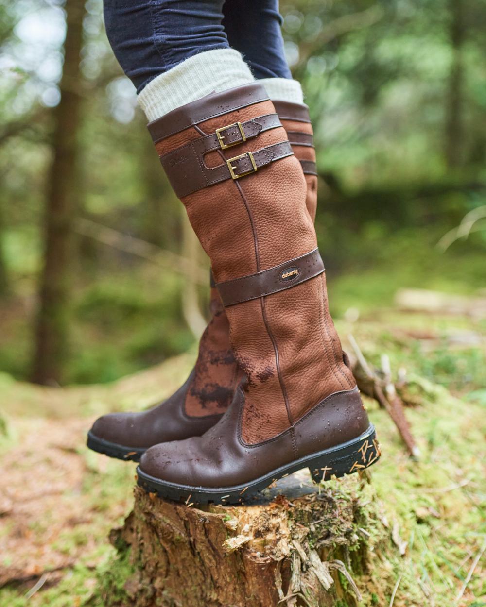 Dubarry Longford Country Boots in Walnut 