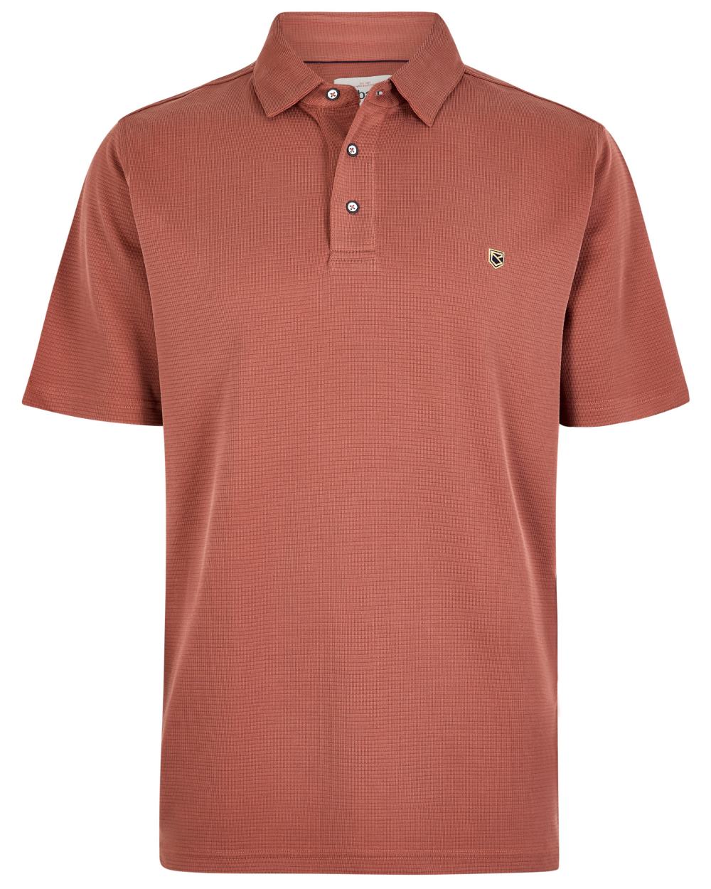 Rust coloured Dubarry Mens Gilligan Tencel Modal Polo T-Shirt on white background 