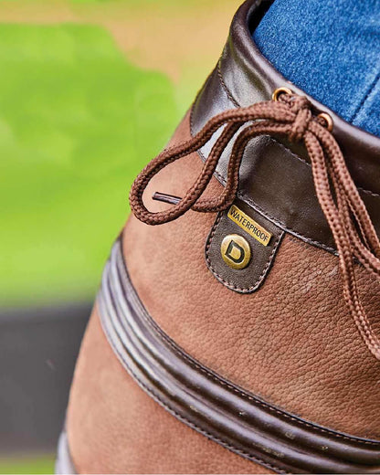 Brown coloured Dublin Husk Boots II on blurry background 