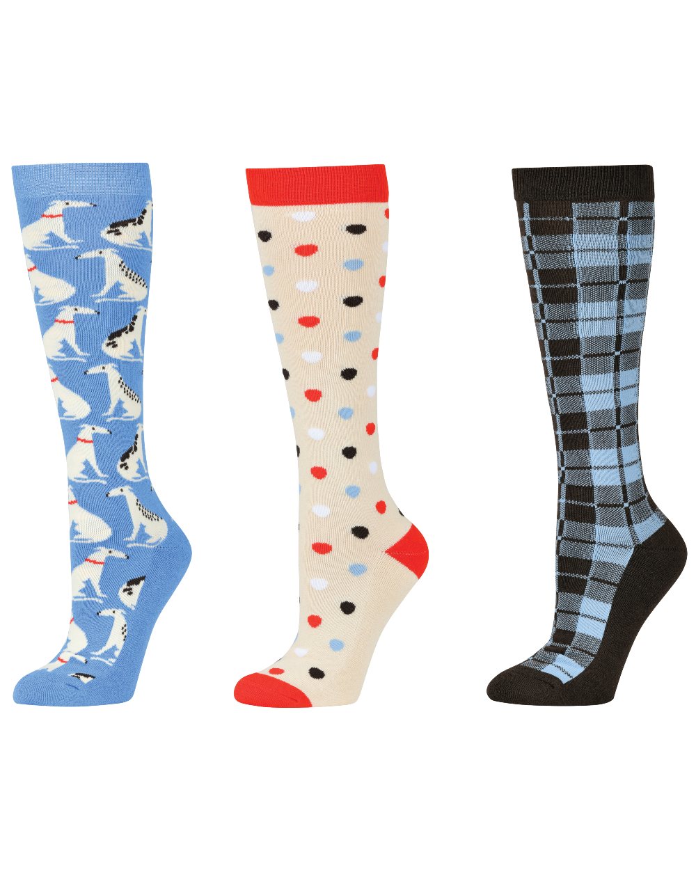 Dog Spots Check coloured Dublin Three Pack Socks on white background 