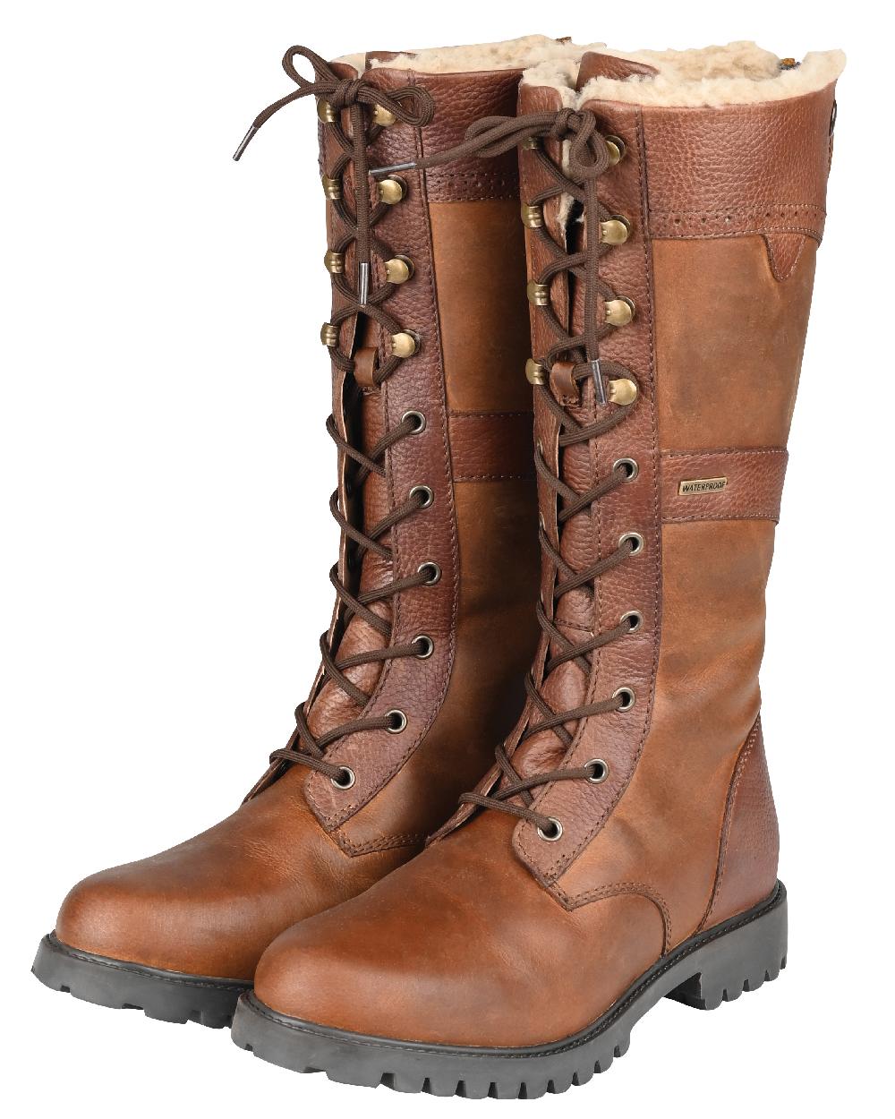 Brown Coloured Dublin Yukon Boots on white background 