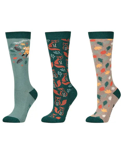 Autumnal coloured Dublin Childrens Three Pack Socks on white background 