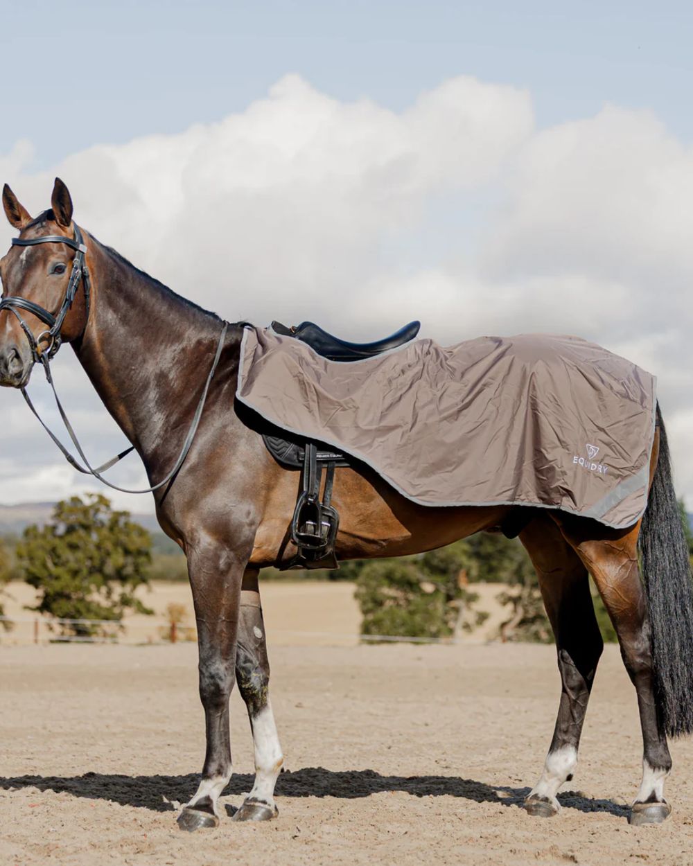 Taupe Charcoal coloured Equidry Waterproof Lite Fleece Lined Exercise Sheet on outdoor background 