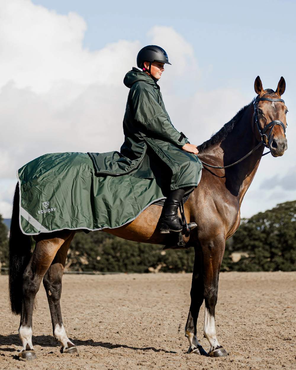 Black Forest Green Grey Coloured Equidry Waterproof Thick Fleece Lined Exercise Sheet on outdoor background 