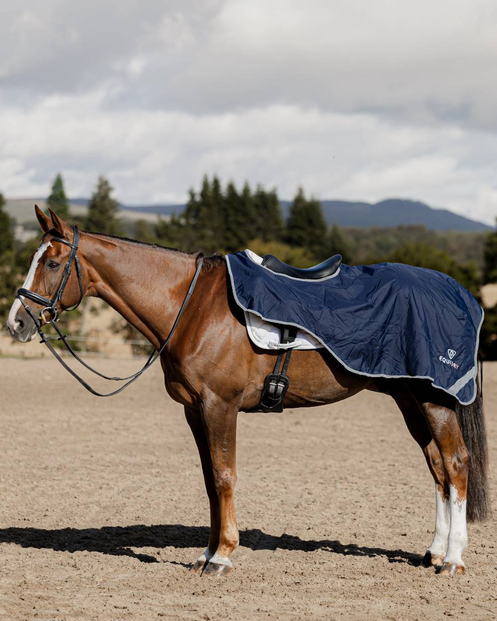 Navy Pale Pink Coloured Equidry Waterproof Thick Fleece Lined Exercise Sheet on outdoor background 