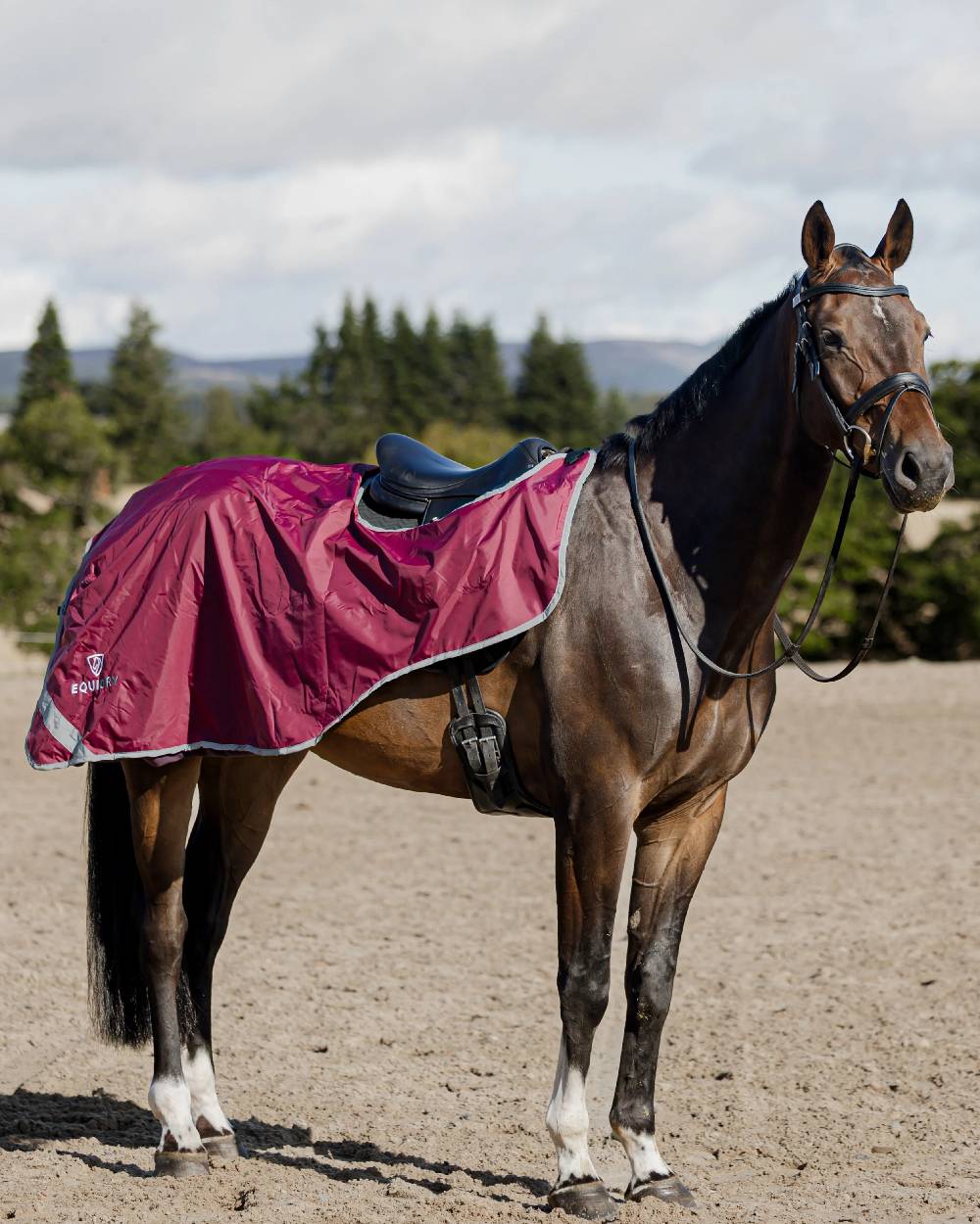 Plum Grey Coloured Equidry Waterproof Thick Fleece Lined Exercise Sheet on outdoor background 