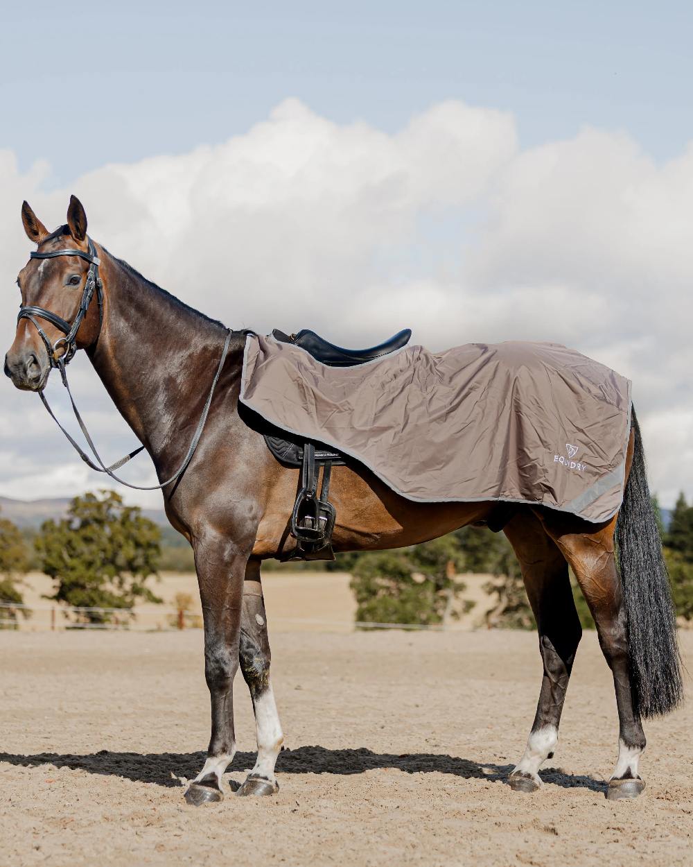 Taupe Coloured Equidry Waterproof Thick Fleece Lined Exercise Sheet on outdoor background 
