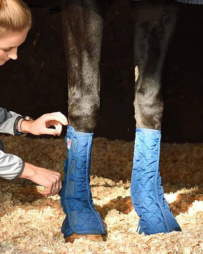 Blue coloured Equilibrium Equi-Chaps Stable Chaps on blurry background 