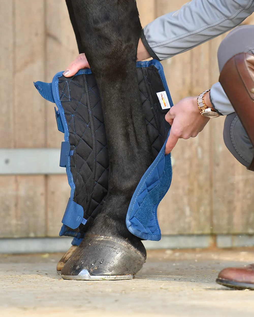 Blue coloured Equilibrium Equi-Chaps Stable Chaps on blurry background 