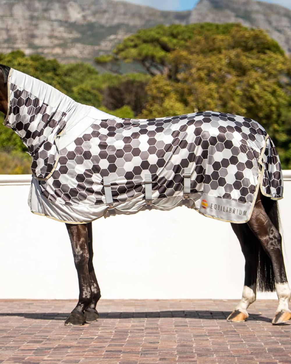 Equilibrium Field Relief Fly Rug