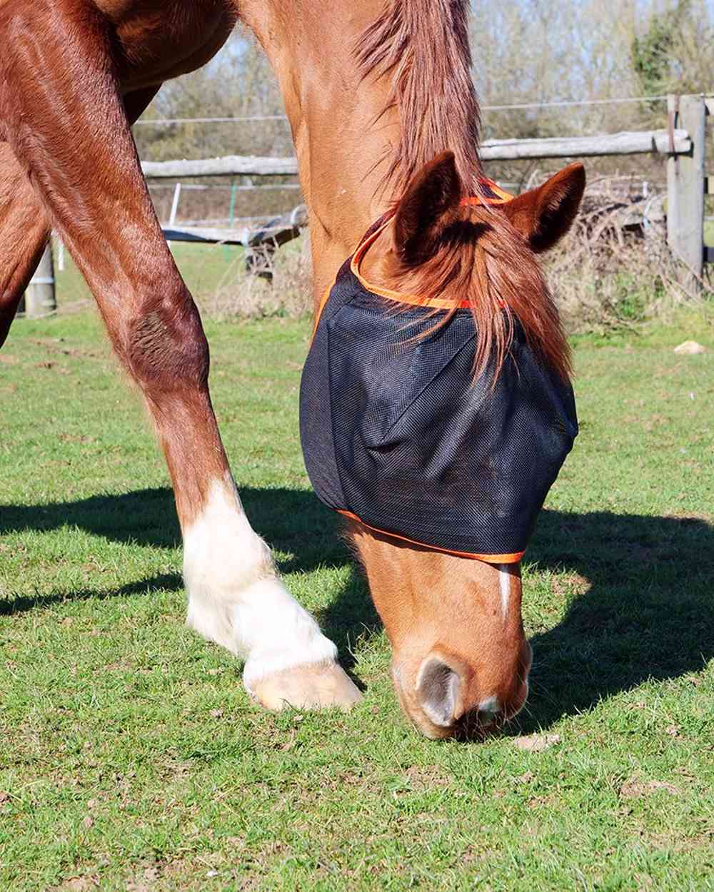 Black Orange coloured Equilibrium Field Relief Midi Fly Mask No Ears on grass background 