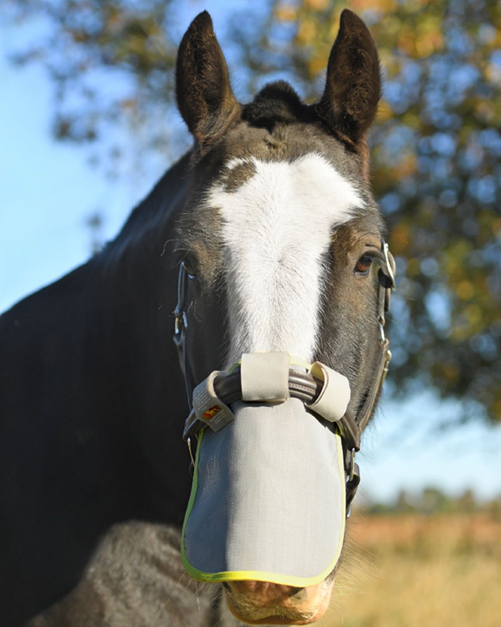 Grey Yellow coloured Equilibrium Field Relief Muzzle Protector on blurry background 