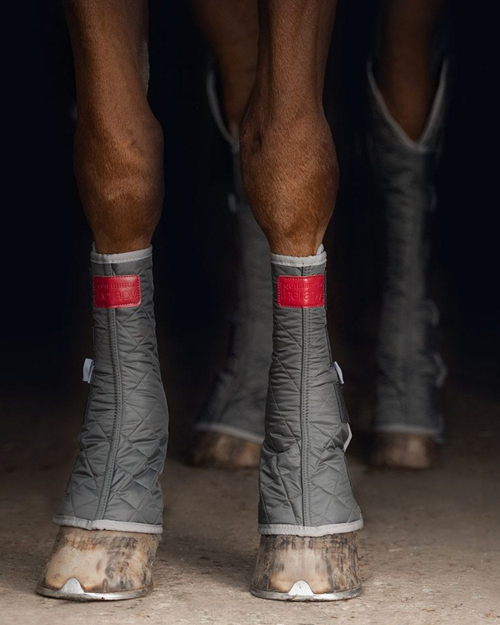 Equilibrium Hind & Hock Chaps