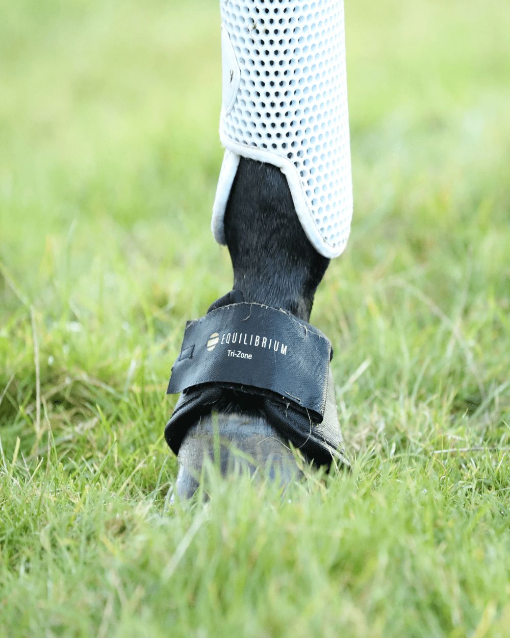 Black coloured Equilibrium Tri-Zone Over Reach Boots on green grass background 