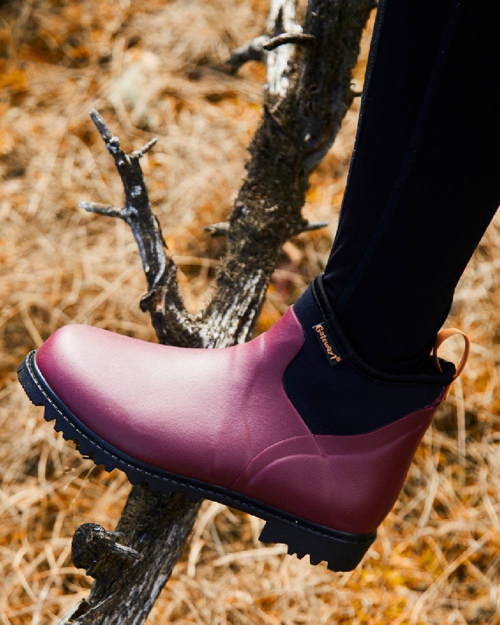 Burgundy Coloured Gateway1 Ascot Lady 6 3mm Boots on outdoor background 