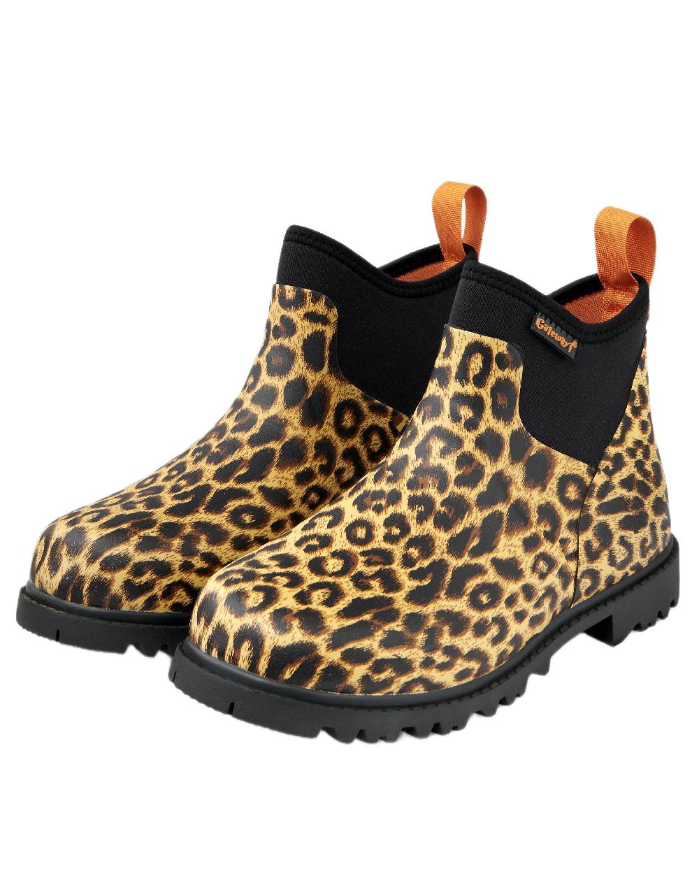 Leopard Coloured Gateway1 Ascot Lady 6 3mm Boots on white background 