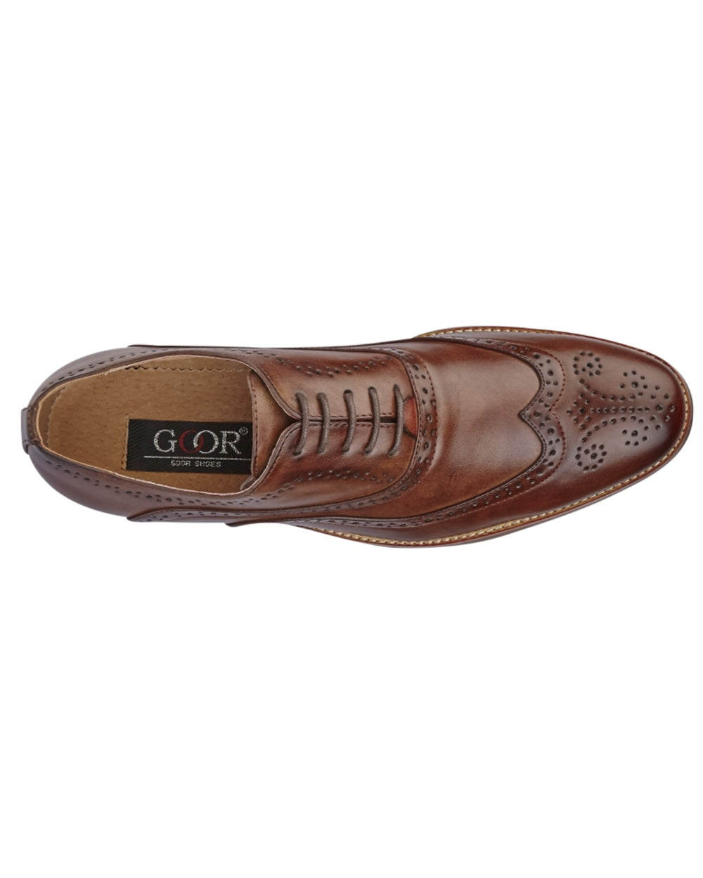 Mid Brown coloured Goor Mens 5 Eye Wing Capped Brogue Oxford Shoes on white background 