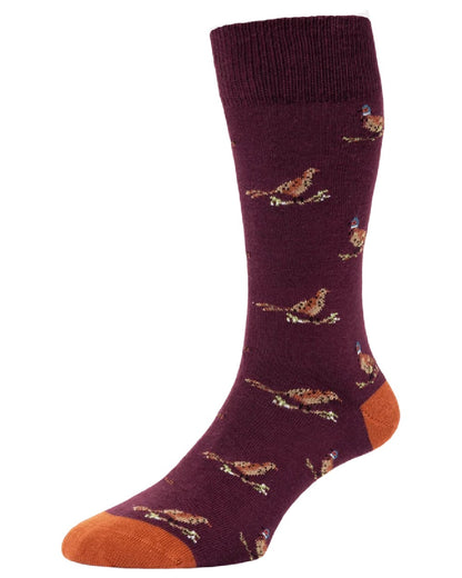Burgundy Coloured HJ Hall Pure Cotton Rib Socks on white background 