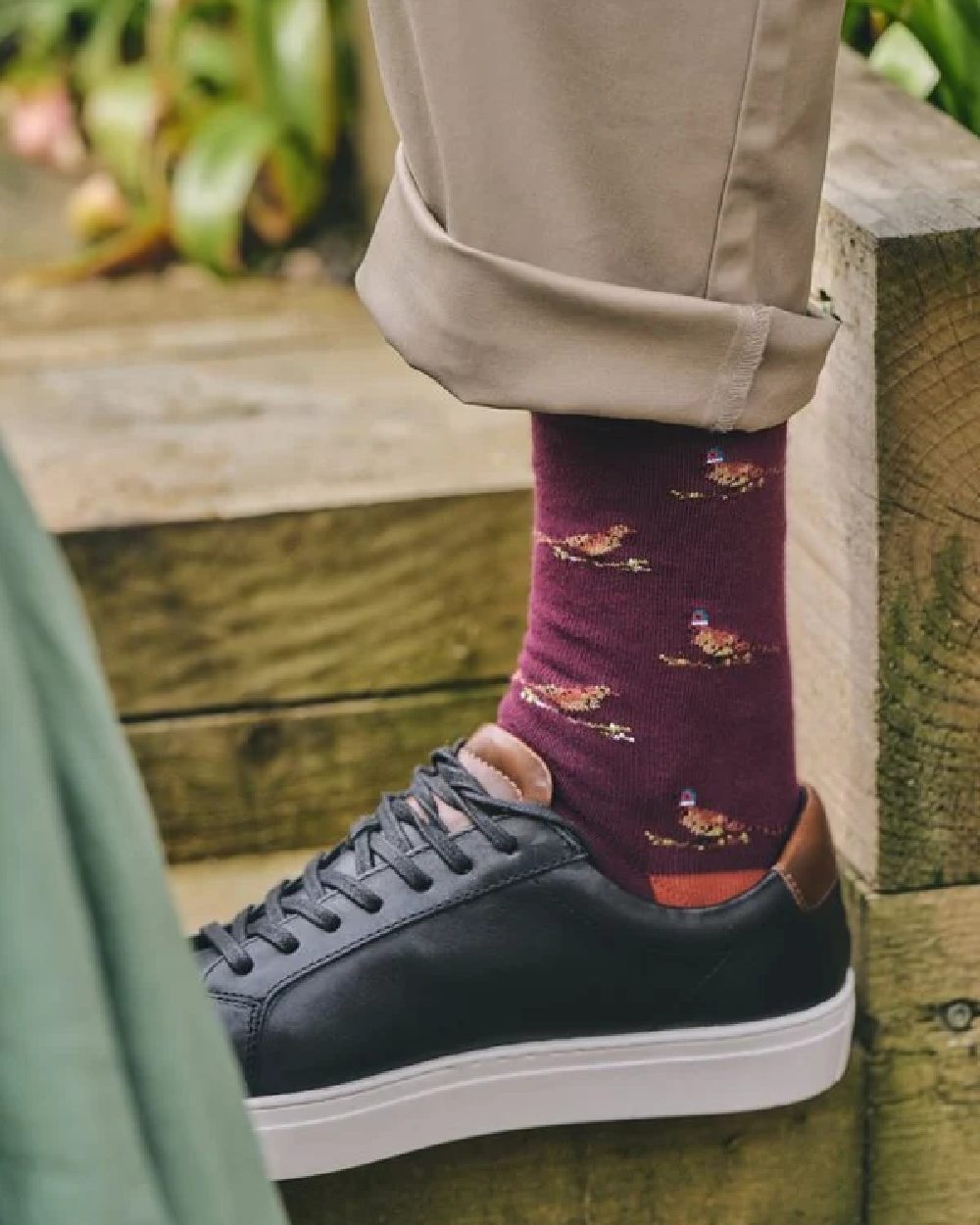 Burgundy Coloured HJ Hall Pure Cotton Rib Socks on white background 