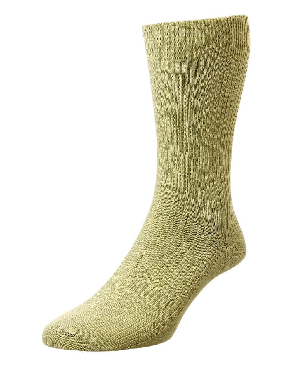 Oatmeal Coloured HJ Hall Pure Cotton Rib Socks on white background 