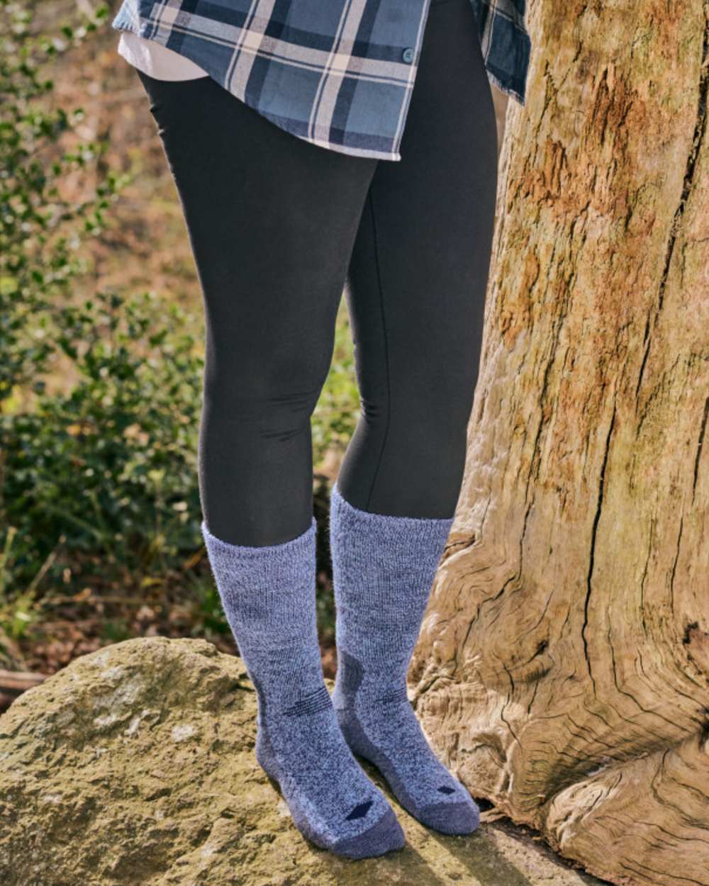 Navy coloured HJ Hall Technical Rambler Comfort Top Thermal Wool Socks on forest background 