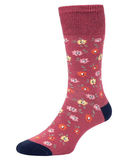 Ducky Rose coloured HJ Hall Womens Ditsy Floral Cotton Comfort Top Socks on white background 