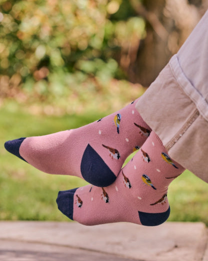 Pink coloured HJ Hall Womens Garden Birds Motif Cotton Comfort Top Socks on outdoor background 