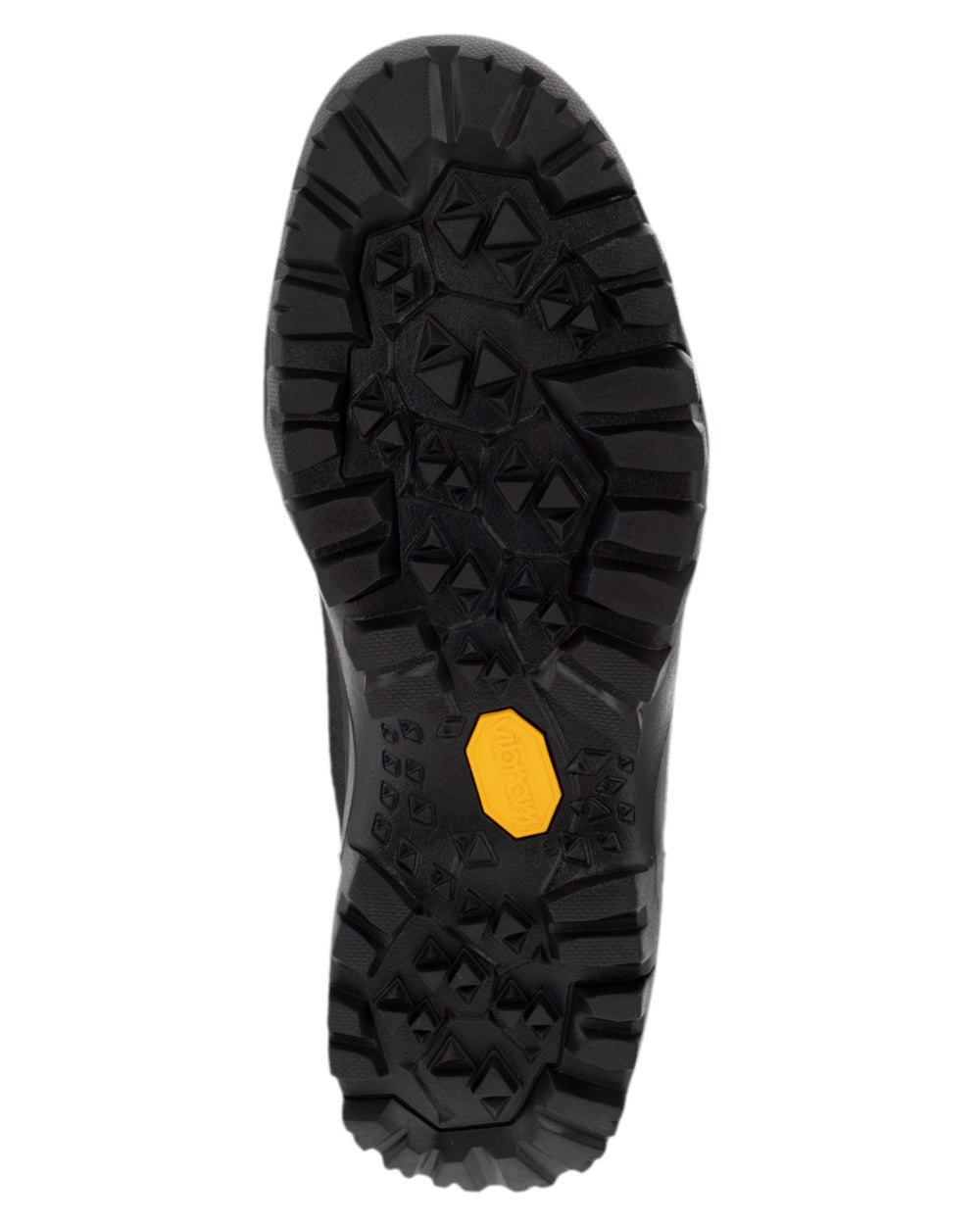 Black Coloured Harkila Driven Hunt 2.0 GTX Boots on white background 