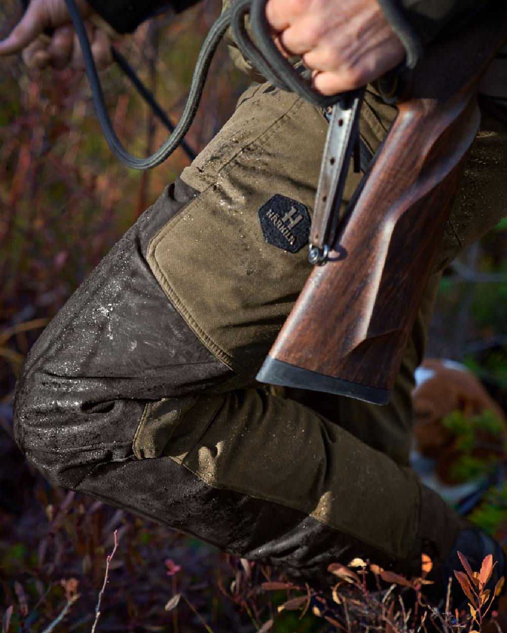 Willow Green Shadow Brown Coloured Harkila Driven Hunt HWS Leather Trousers on forest background 