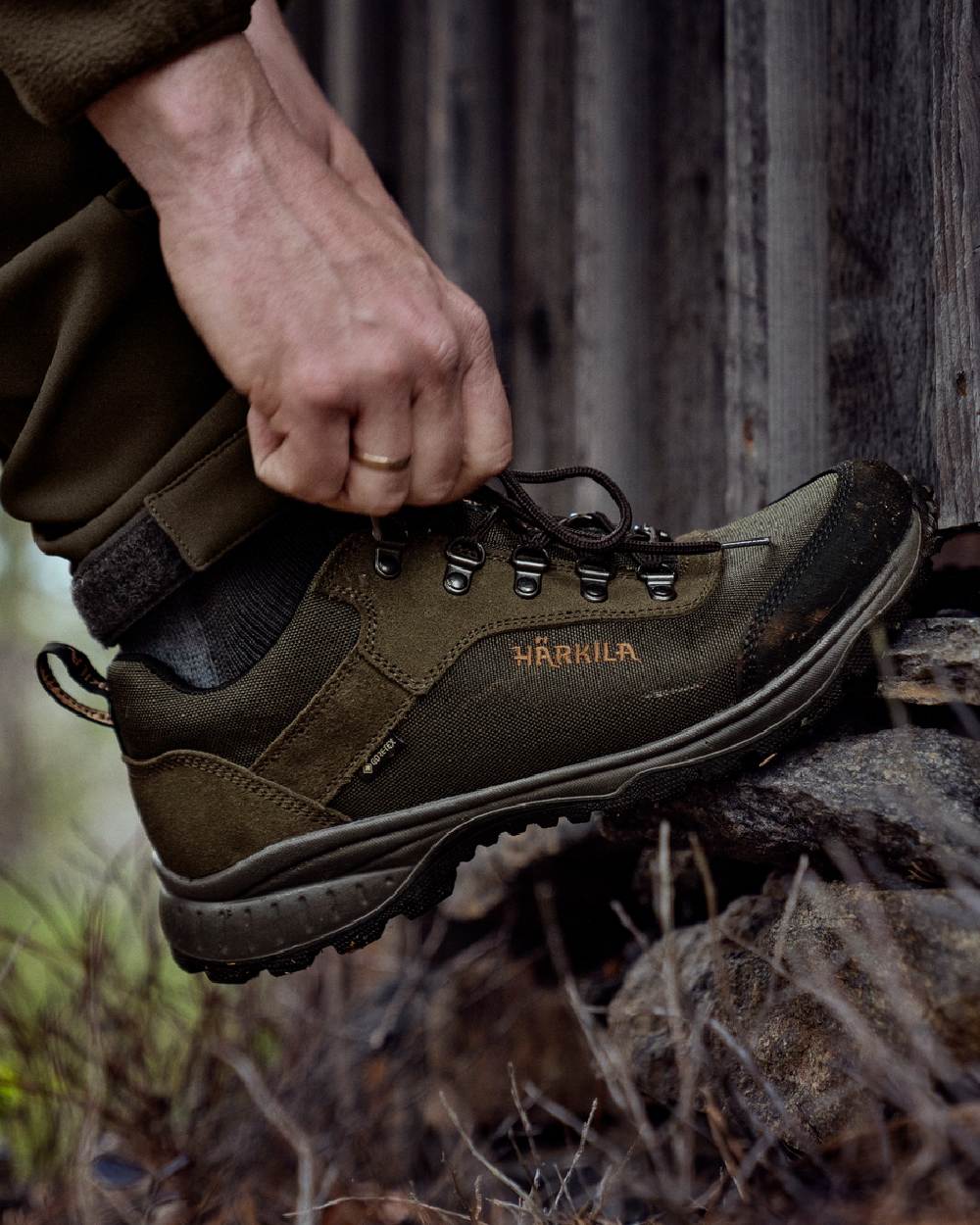 Willow Green Coloured Harkila Trail Lace GTX Shoes on forest background 