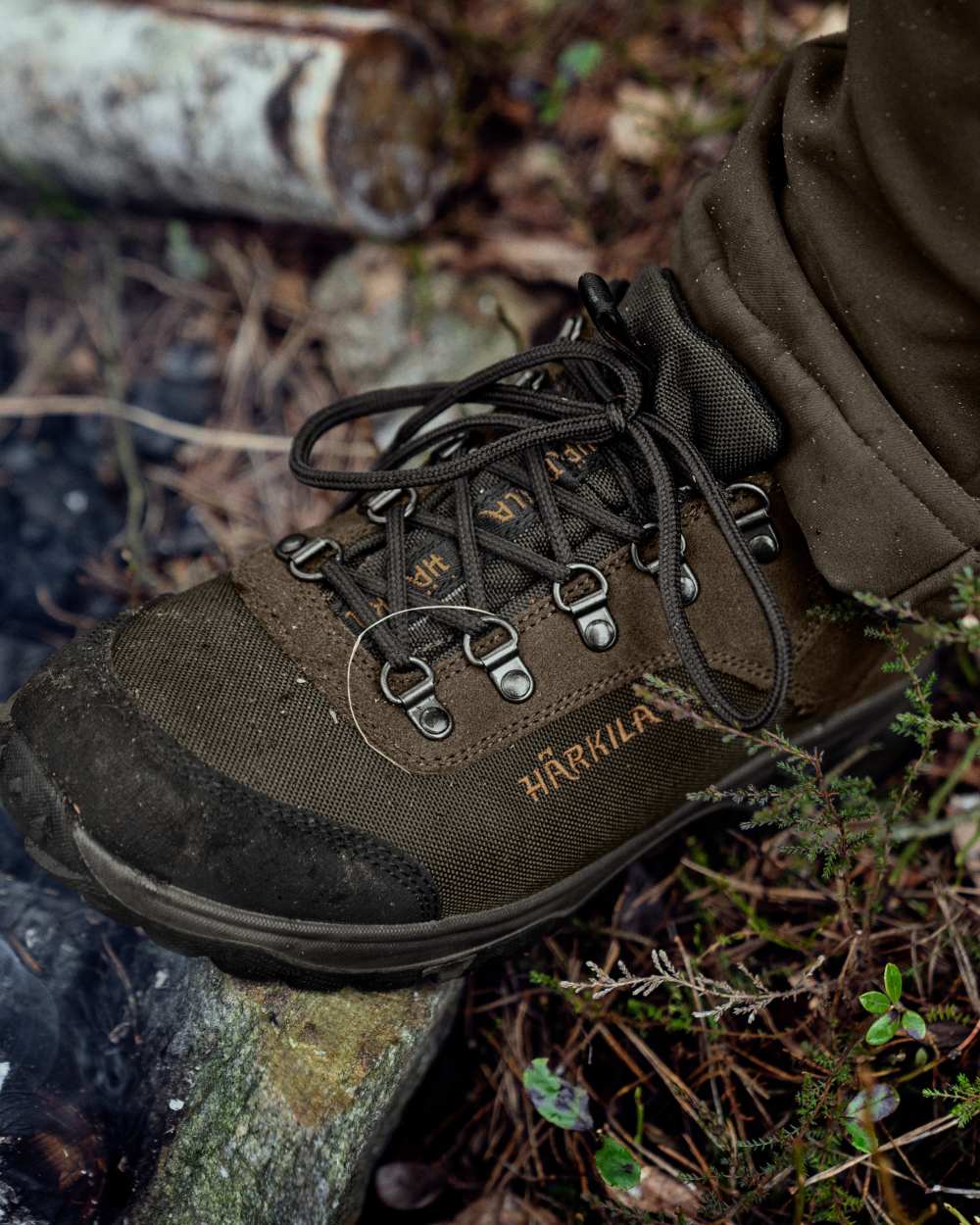 Willow Green coloured Harkila Trail Lace GTX Shoes on white background 