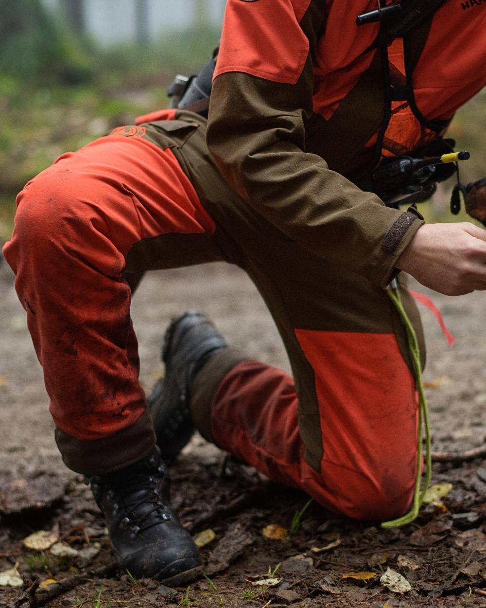 Wildboar Orange Willow Green Coloured Harkila Wildboar Pro Trousers on forest background 
