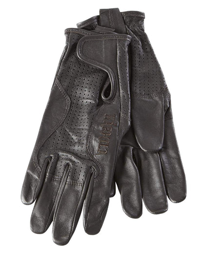 Shadow Brown Coloured Harkila Womens Classic Shooting Gloves on white background 