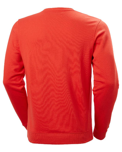 Alert Red Coloured Helly Hansen F2F Organic Cotton Sweater on white background 