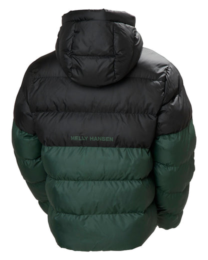 Jungle Green Coloured Helly Hansen Mens Active Puffy Jacket on white background 