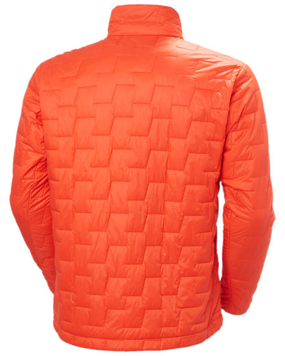 Cherry Tomato Coloured Helly Hansen Mens Lifaloft Insulator Jacket on white background 