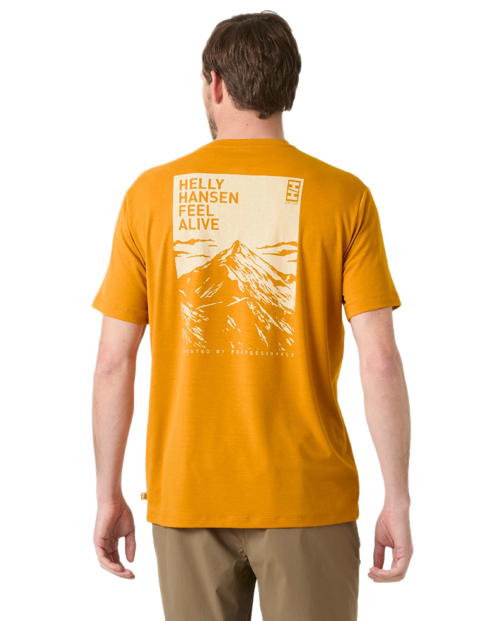 Mustard Coloured Helly Hansen Mens Skog Recycled Graphic T-Shirt on white background

