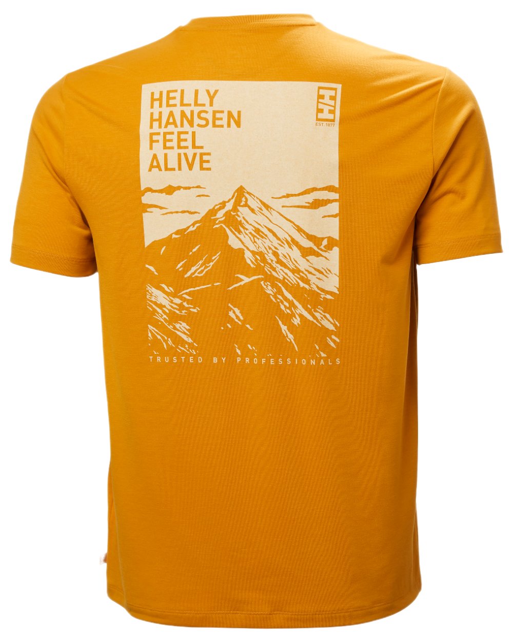 Mustard Coloured Helly Hansen Mens Skog Recycled Graphic T-Shirt on white background
