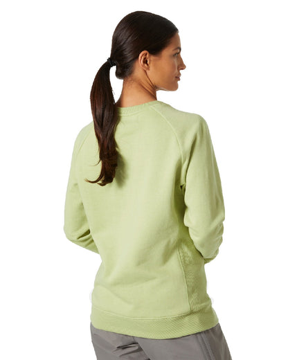 Iced Matcha Melange coloured Helly Hansen Womens F2F Organic Cotton Sweater on white background 