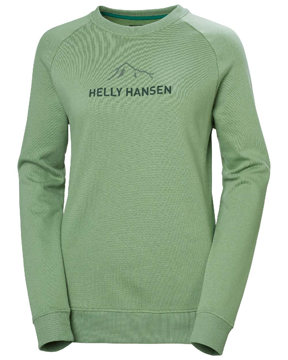 Jade 2 coloured Helly Hansen Womens F2F Organic Cotton Sweater on white background 