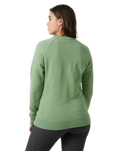 Jade 2 coloured Helly Hansen Womens F2F Organic Cotton Sweater on white background 