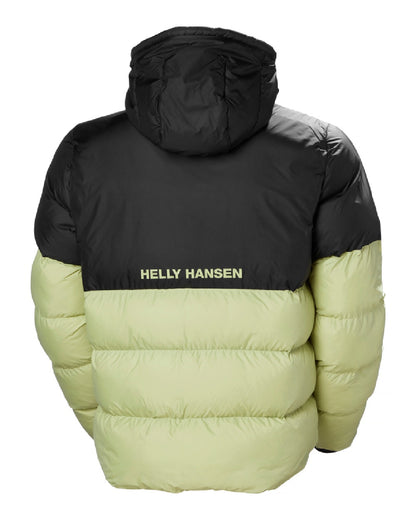 Helly Hansen Mens Active Puffy Jacket in Iced Matcha 