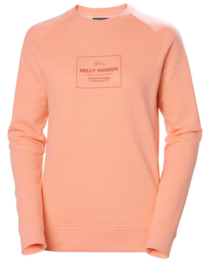 Rose Quartz melange coloured Helly Hansen Womens F2F Organic Cotton Sweater on white background 