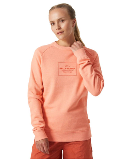 Rose Quartz melange coloured Helly Hansen Womens F2F Organic Cotton Sweater on white background 