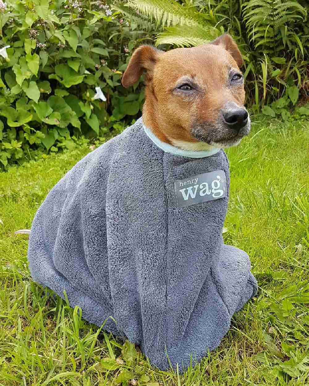 Grey coloured Henry Wag Drying Bag on grass background 
