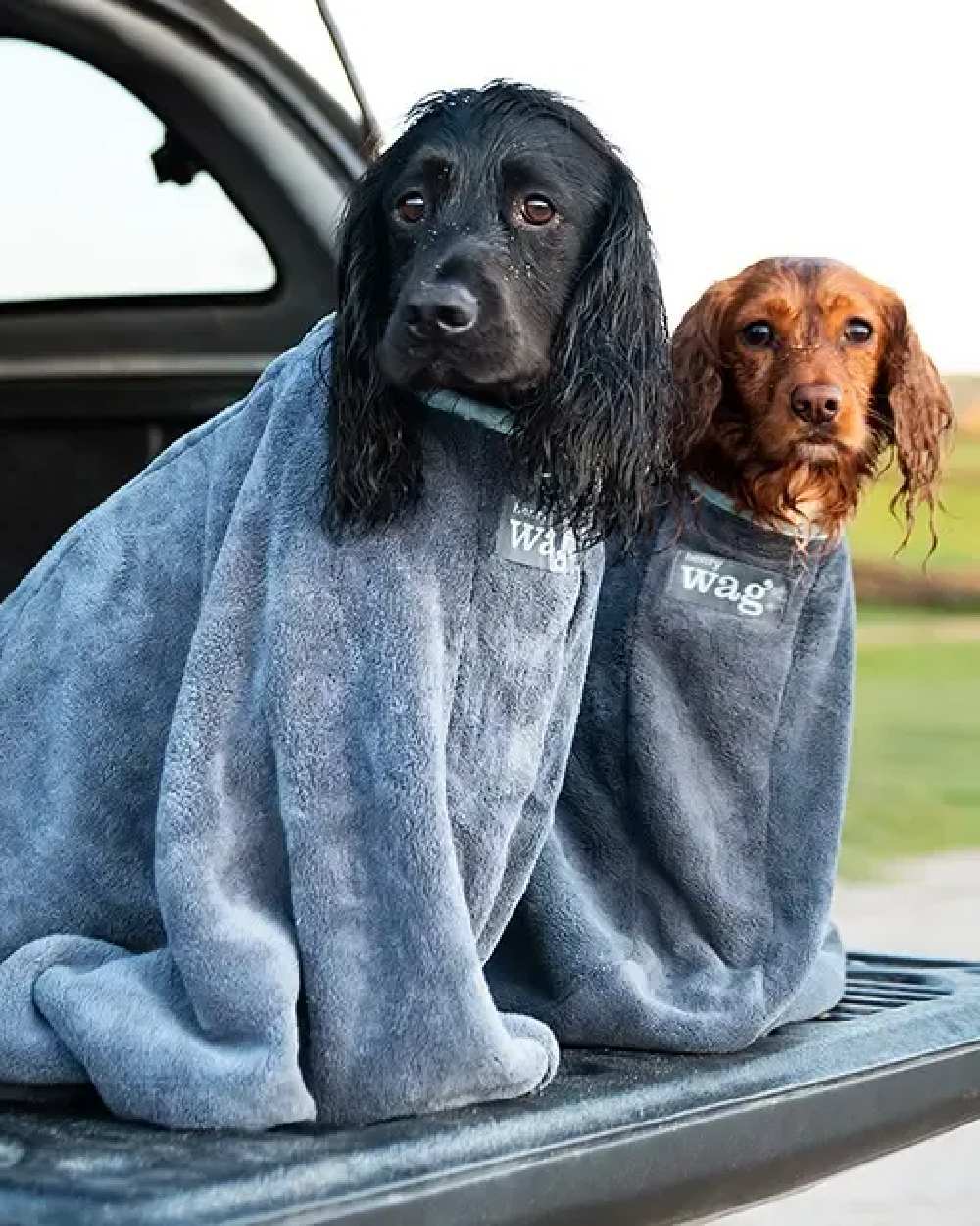 Grey coloured Henry Wag Drying Bag on sky background 